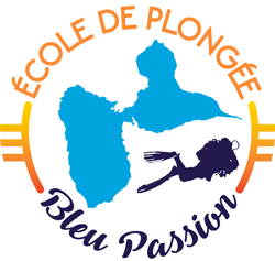 Bleu Pssion